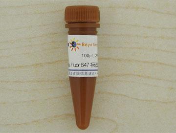 Alexa Fluor 647标记山羊抗兔IgG(H+L)